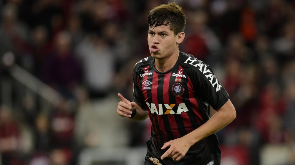 VascO