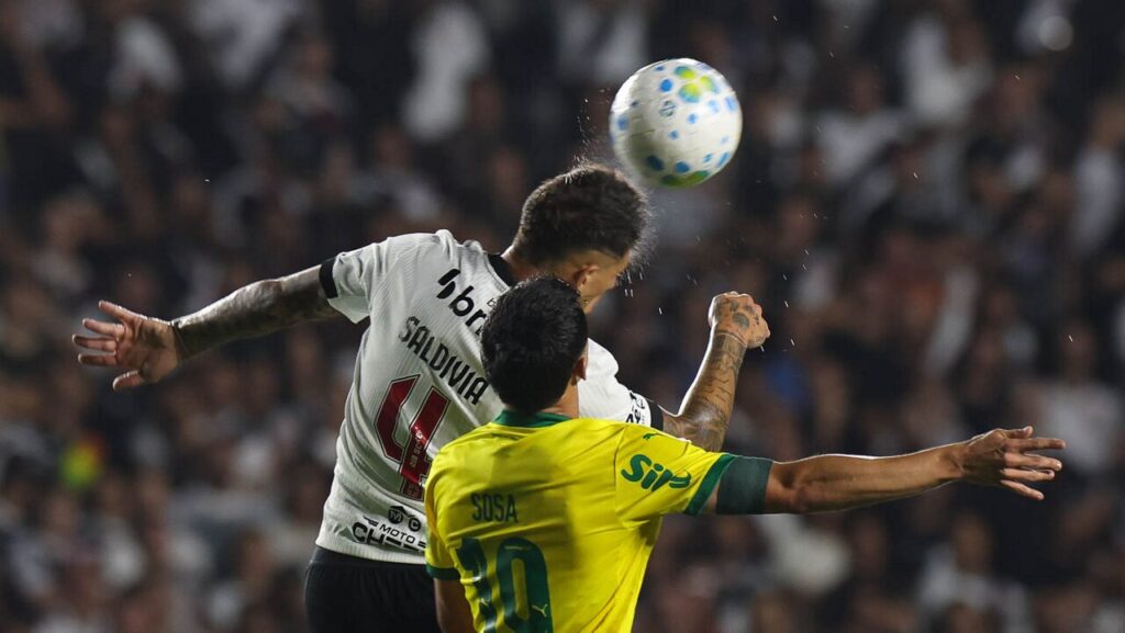 Vasco x Palmeiras. Foto: Cesar Greco  - Time de Renato 